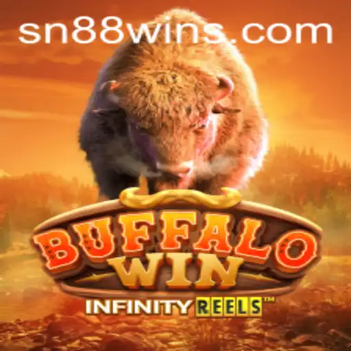 BuffaloWin: The Exciting Adventure of SN 88